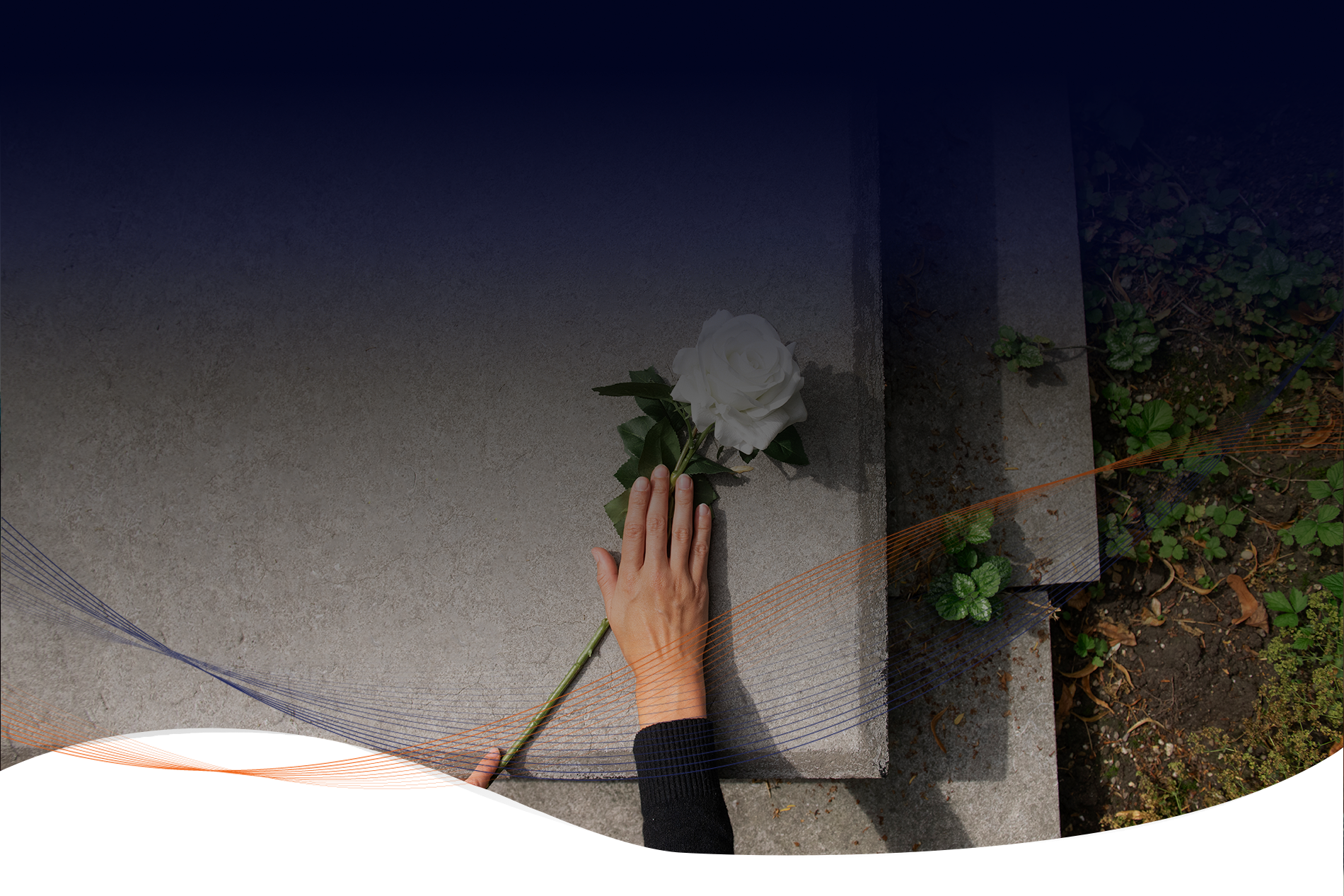 decesosd - Cyber Level Ins España