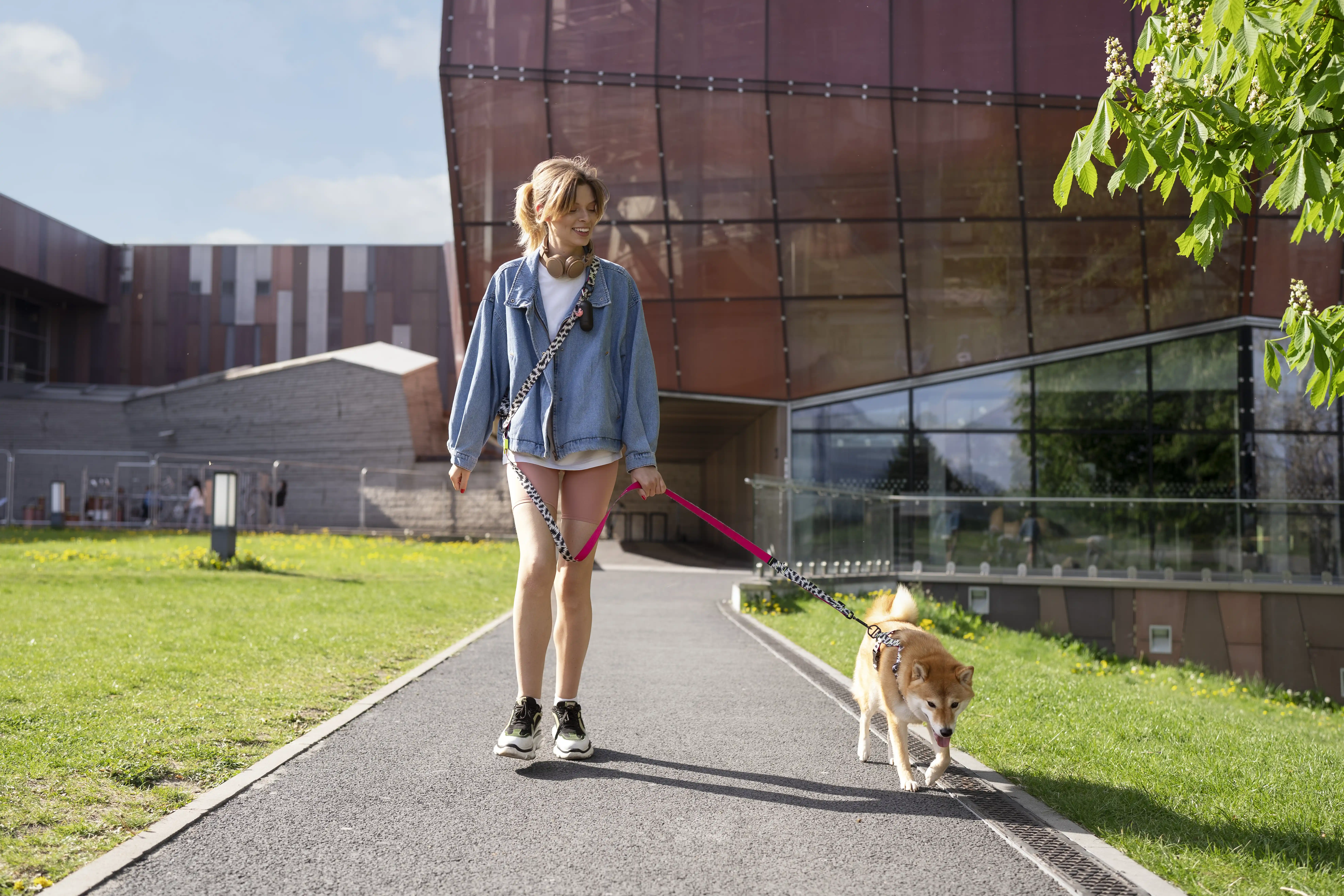 linda-mascota-shiba-inu-con-familia - Cyber Level Ins España